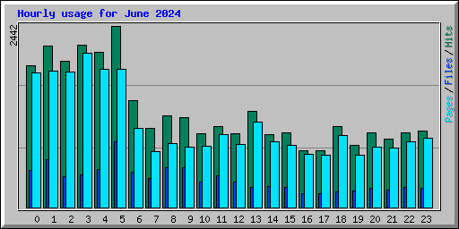 Hourly usage for June 2024